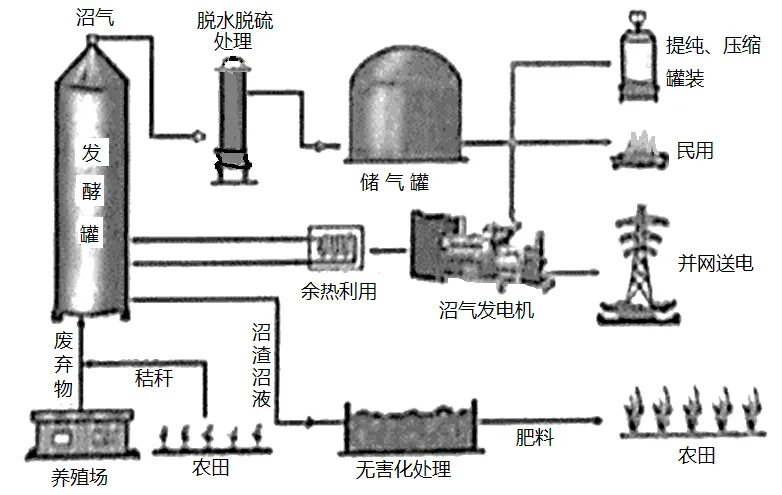 冲刺提分真题练——考点18 生物与土壤(原卷版) 第36张