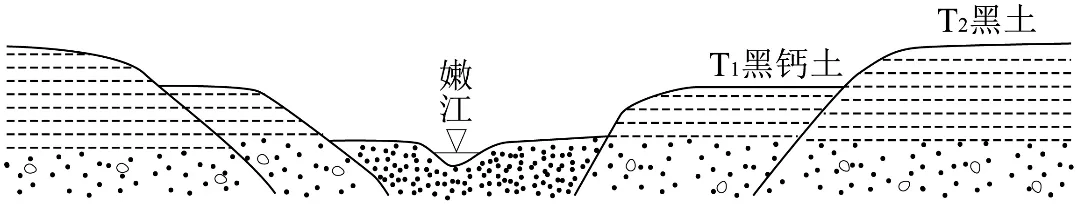 冲刺提分真题练——考点18 生物与土壤(原卷版) 第45张
