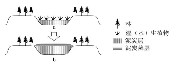 冲刺提分真题练——考点18 生物与土壤(原卷版) 第46张