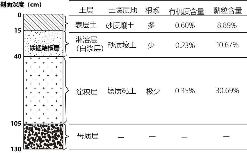 冲刺提分真题练——考点18 生物与土壤(原卷版) 第48张