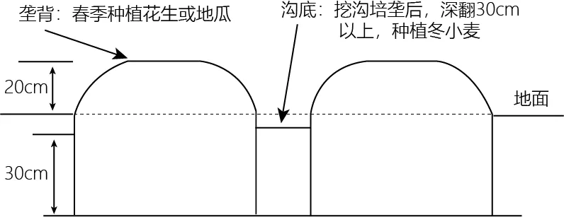 冲刺提分真题练——考点18 生物与土壤(原卷版) 第49张