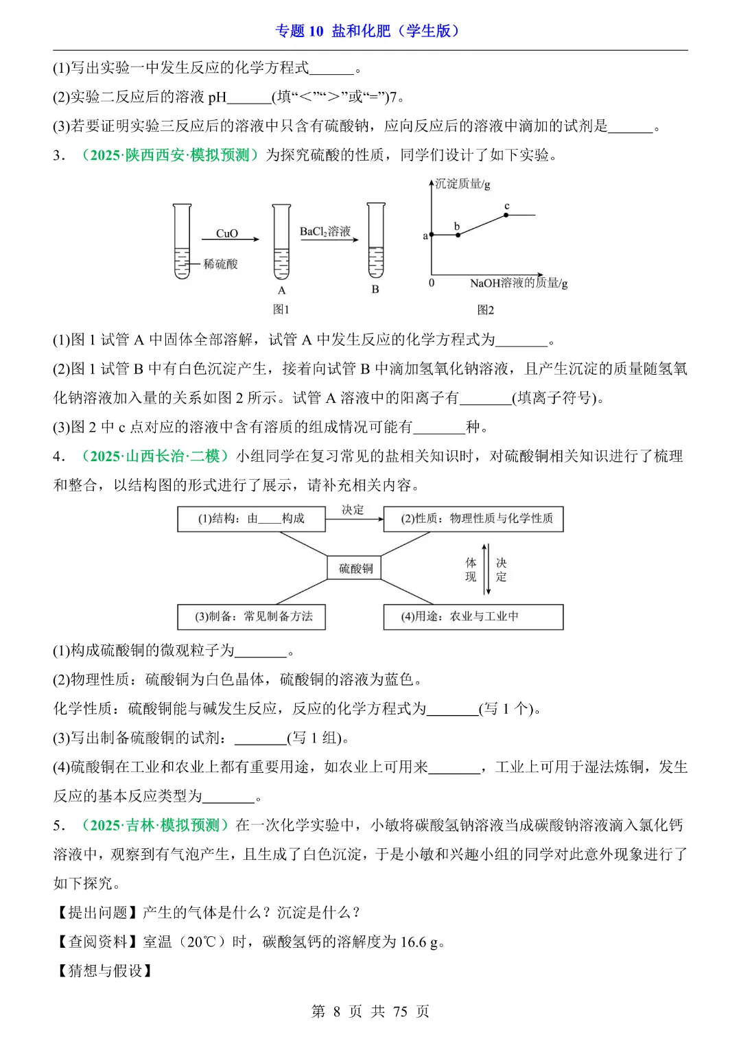 26新九年级下册化学【通用版】中考专项化学《专题10盐和化肥带答案解析》|完整高清电子版可打印 第8张