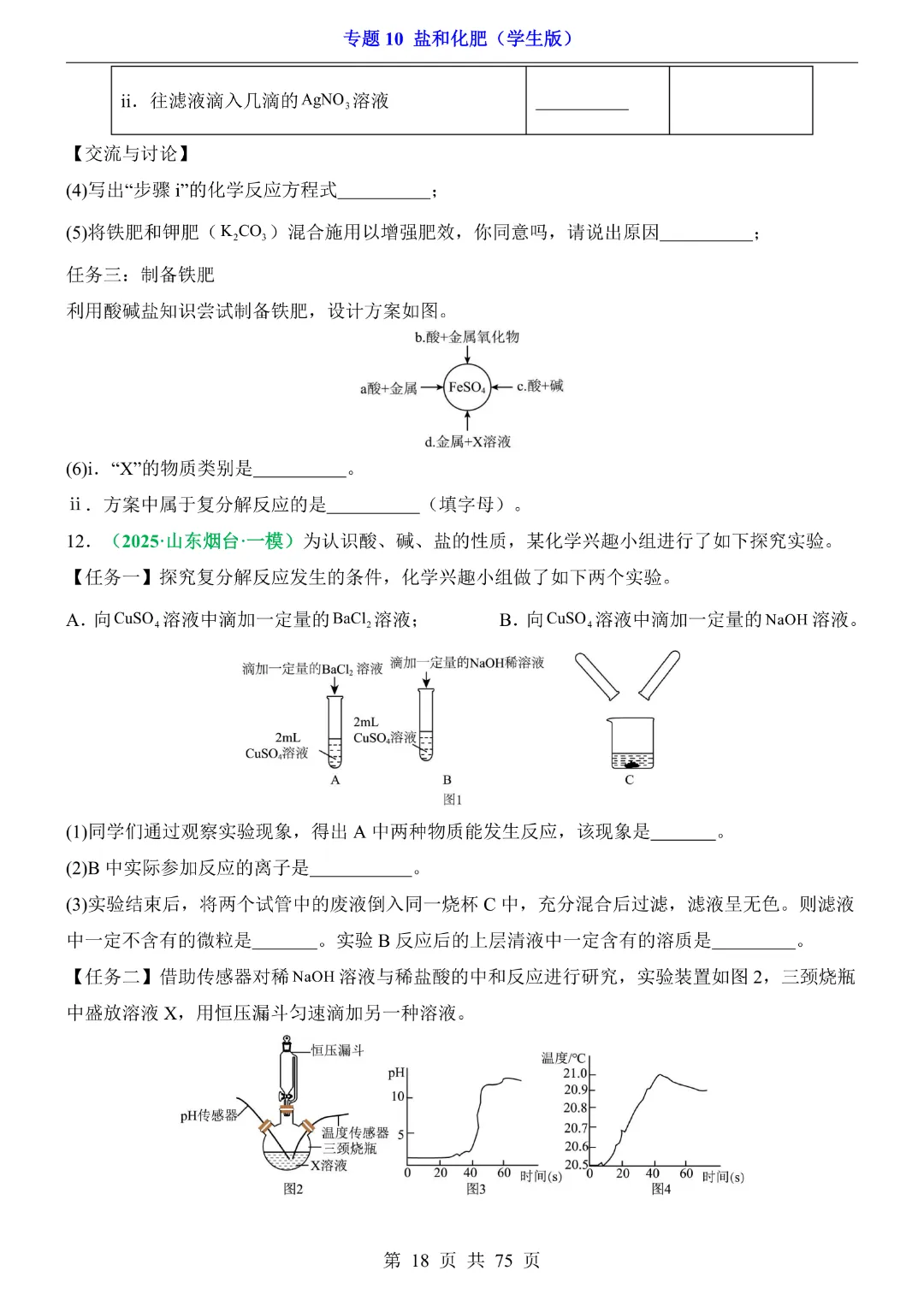 26新九年级下册化学【通用版】中考专项化学《专题10盐和化肥带答案解析》|完整高清电子版可打印 第18张