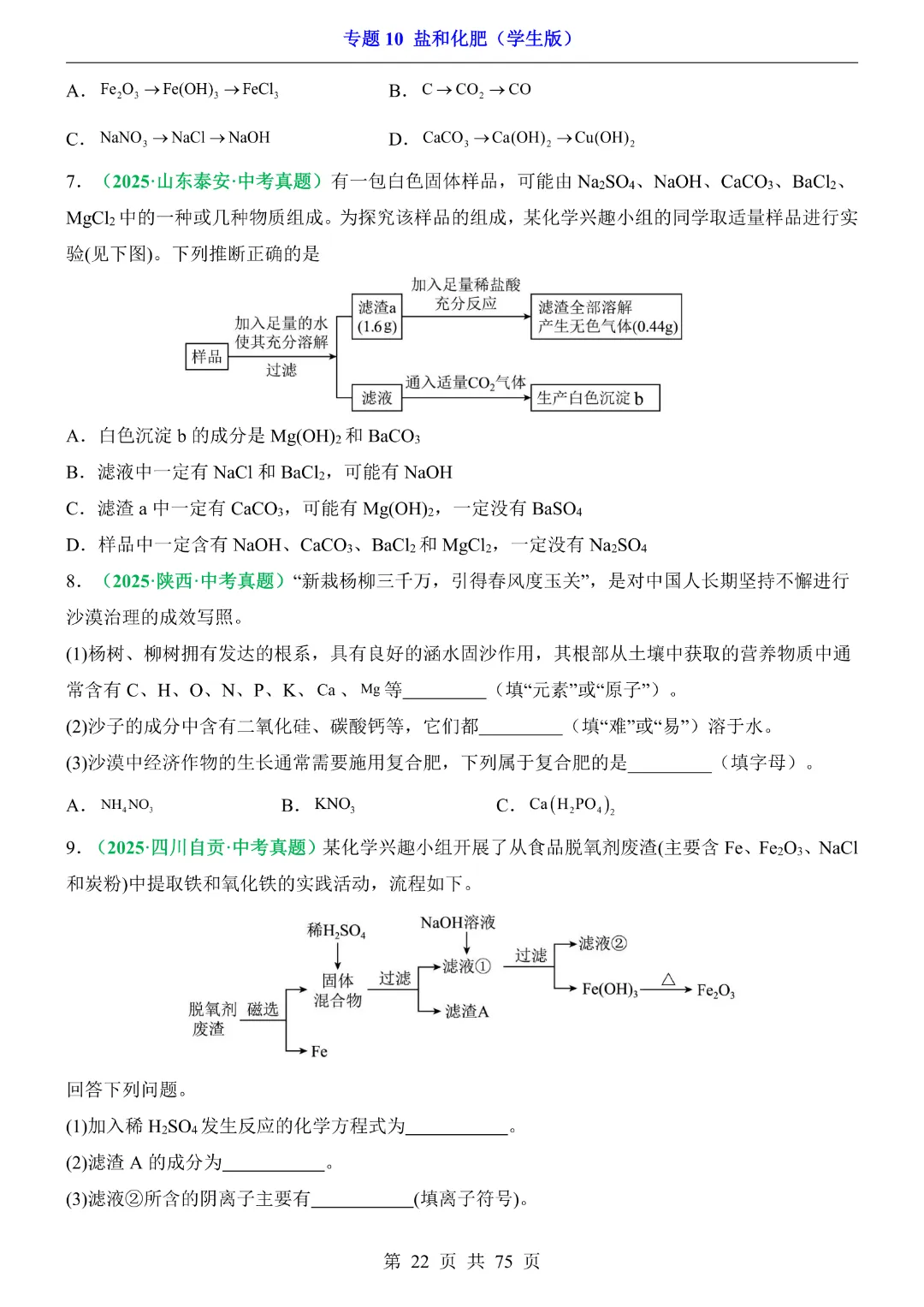 26新九年级下册化学【通用版】中考专项化学《专题10盐和化肥带答案解析》|完整高清电子版可打印 第22张