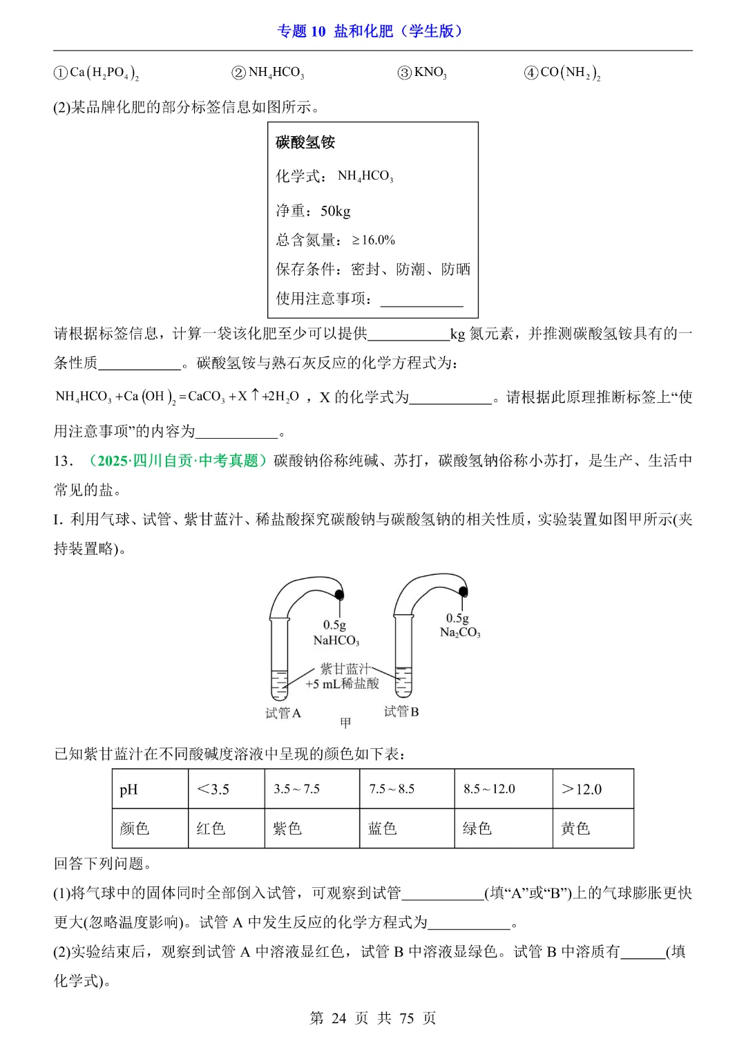 26新九年级下册化学【通用版】中考专项化学《专题10盐和化肥带答案解析》|完整高清电子版可打印 第24张