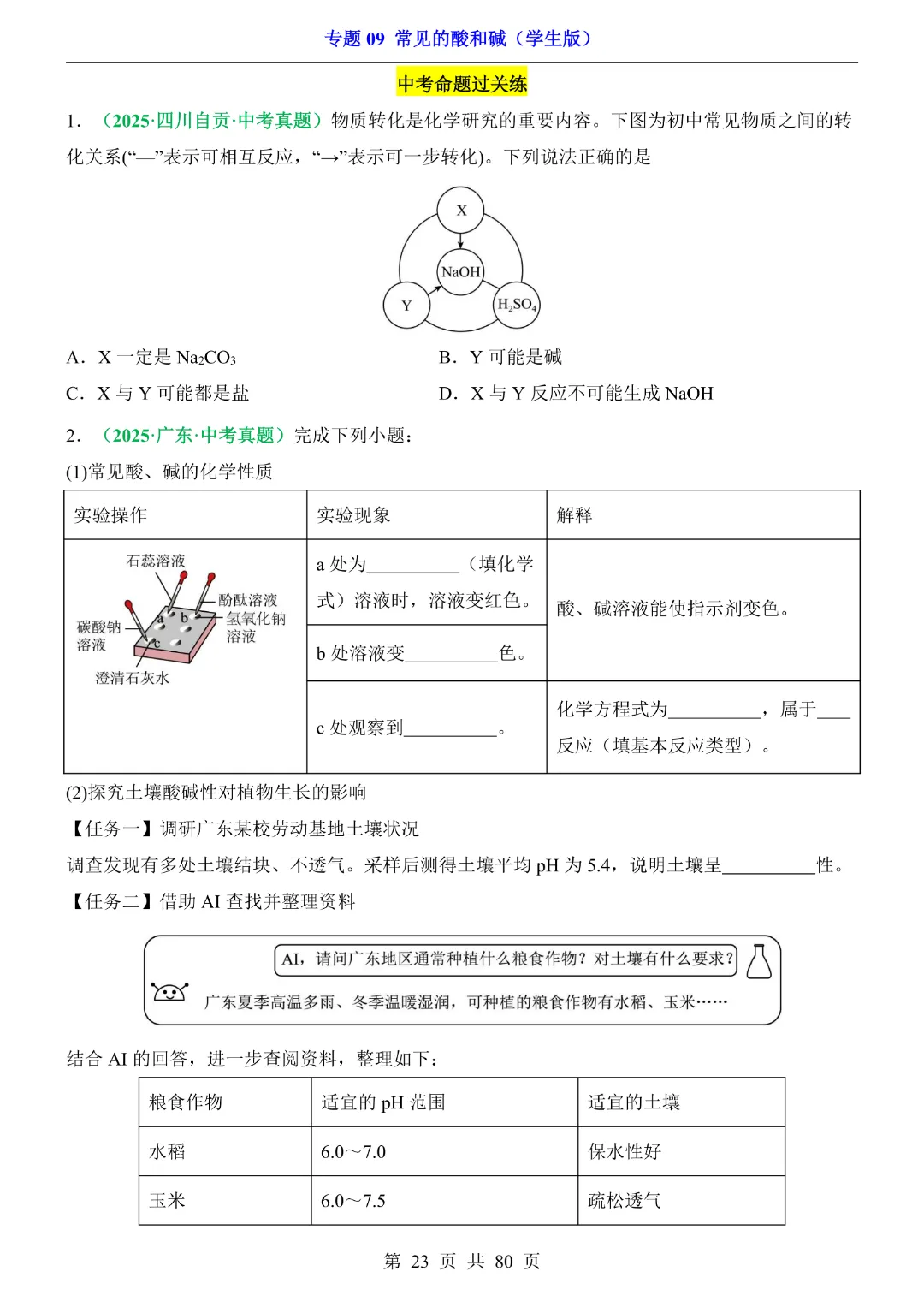 26新九年级下册化学【通用版】中考专项化学《专题09常见的酸和碱带答案解析》|完整高清电子版可打印 第23张