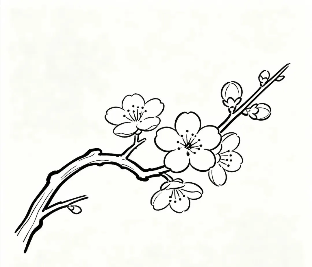 中考前夕,如何整理议论文素材库? 第1张