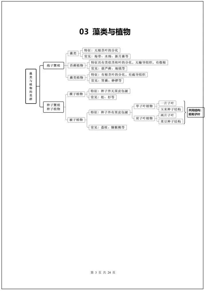 【中考生物】2026年中考生物会考必背知识导图24大汇总(全国通用版)完整电子版可打印! 第11张