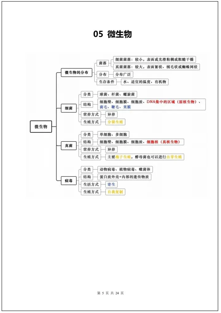 【中考生物】2026年中考生物会考必背知识导图24大汇总(全国通用版)完整电子版可打印! 第13张