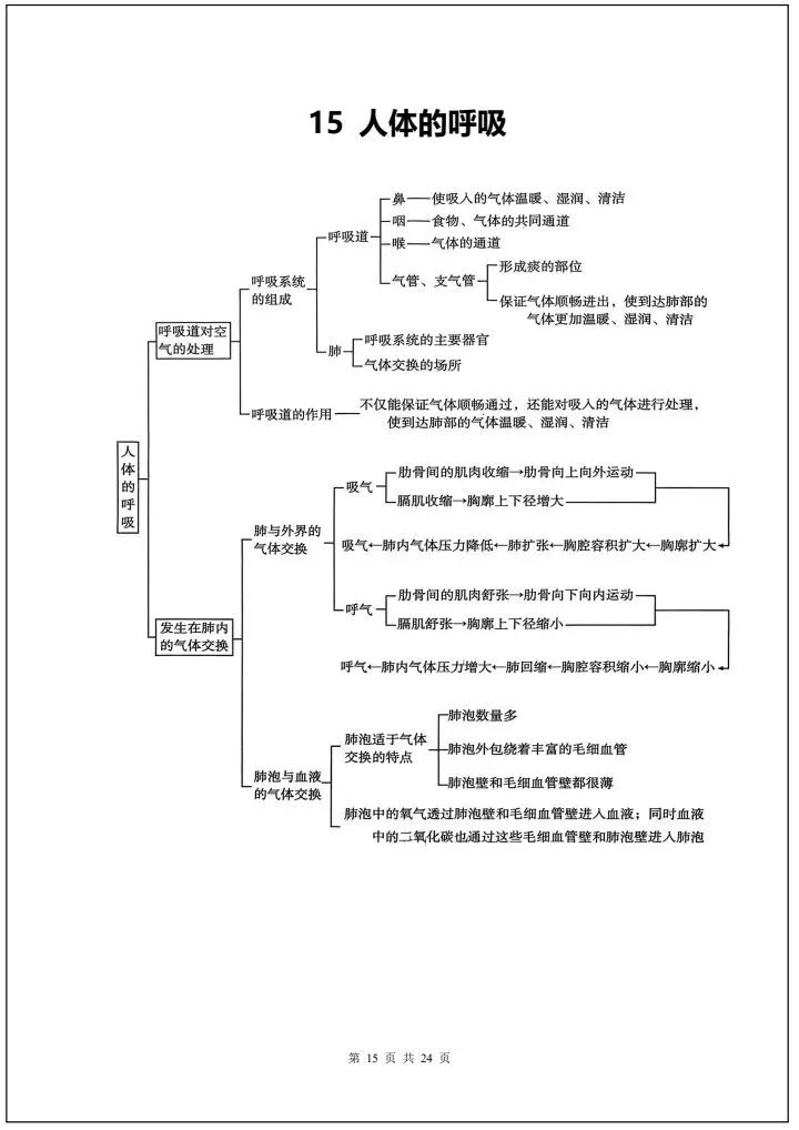 【中考生物】2026年中考生物会考必背知识导图24大汇总(全国通用版)完整电子版可打印! 第23张