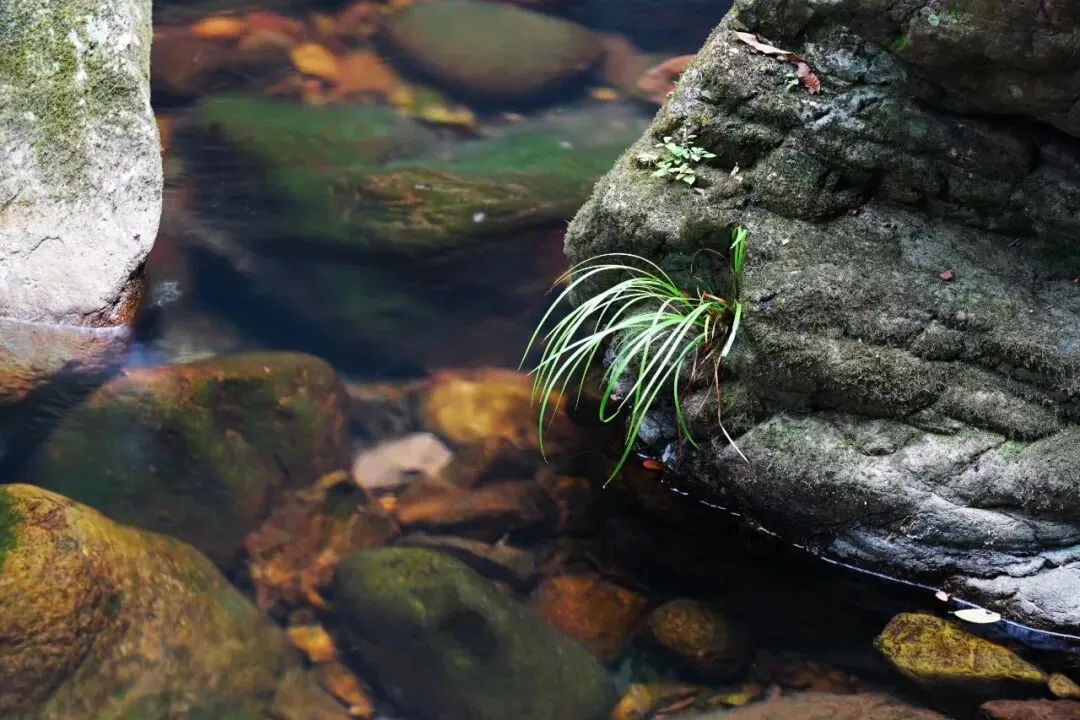 中考优秀作文:《责任》(范文9篇) 第2张