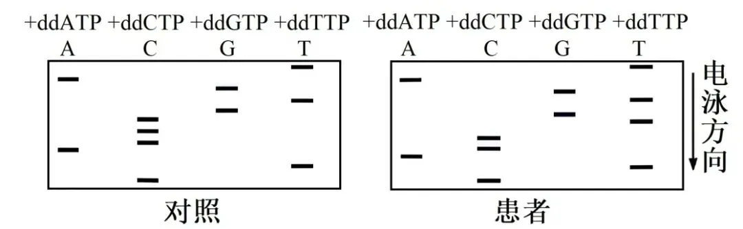 高考真题拆解性分析——以2024年湖南卷第15题为例 第1张