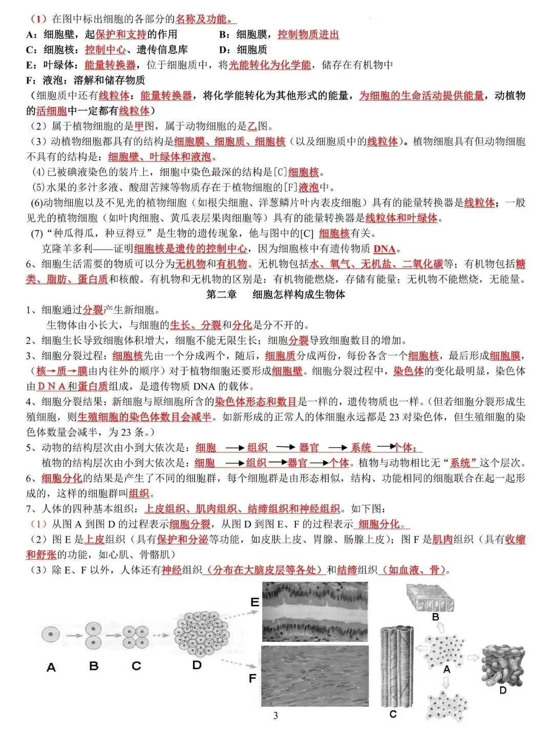 中考生物知识点汇总 人教版 第5张