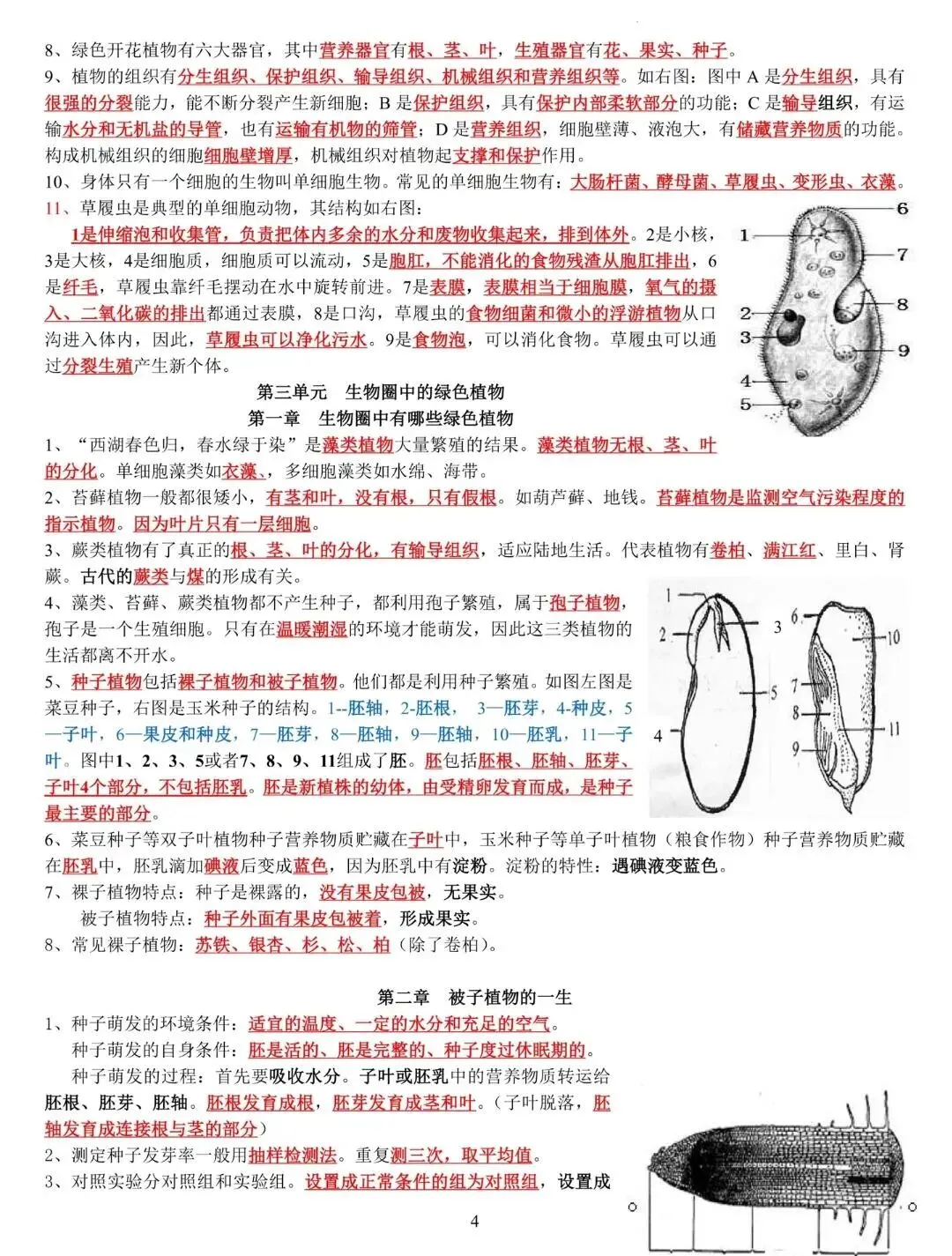 中考生物知识点汇总 人教版 第6张