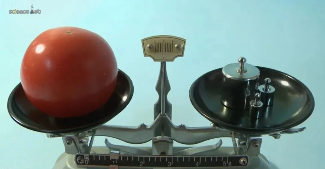 【2026云南中考】实验丢分太可惜!物化生实验考时间+评分细则+操作视频,速领! 第4张