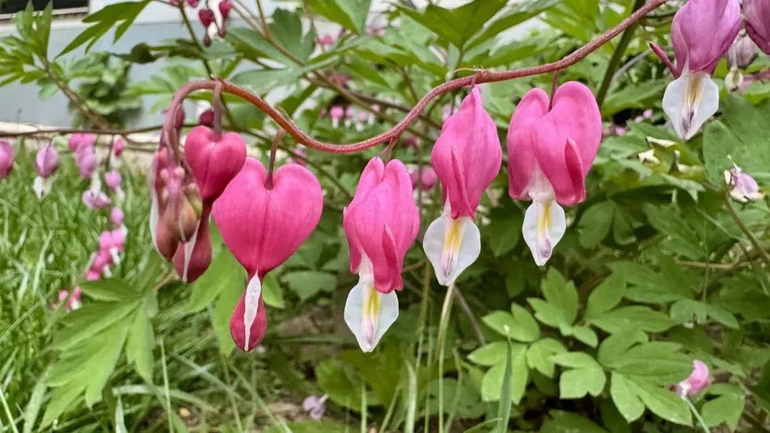 又是一年中考时:中考志愿填报的“冲与保” 第1张