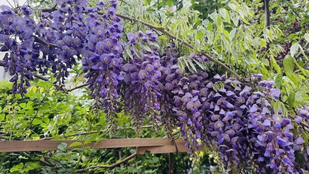 又是一年中考时:中考志愿填报的“冲与保” 第2张