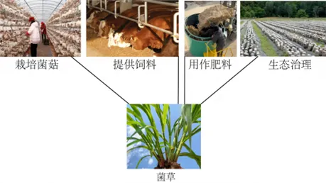 2026年地理中考热点(49)中国斐济建交50周年 第13张
