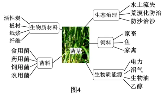 2026年地理中考热点(49)中国斐济建交50周年 第18张