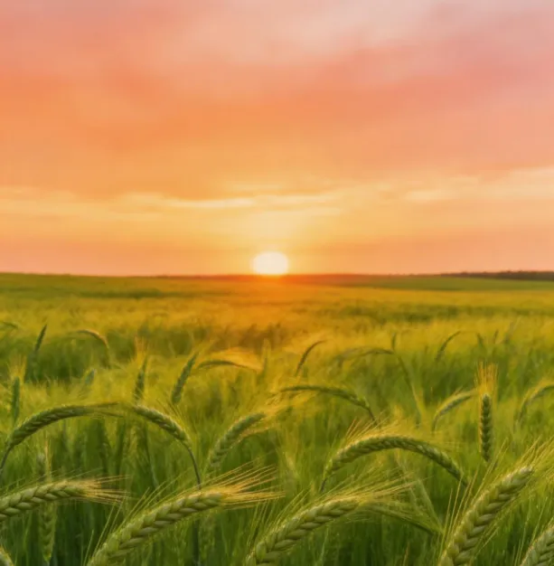 2025-2026学年高一下学期期中教学考试数学模拟试卷 第5张