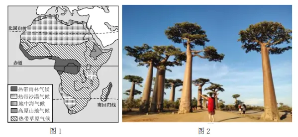 【鸣识优学家】中考地理·真题分类卷·认识大洲·亚洲·欧洲·非洲(九) 第13张
