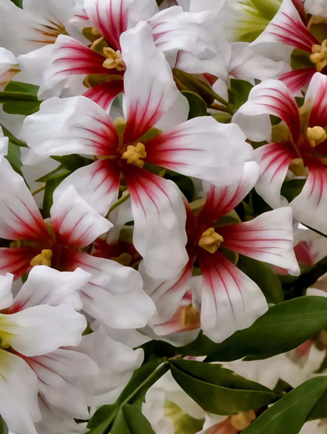 2026中考模拟题(三) 第10张