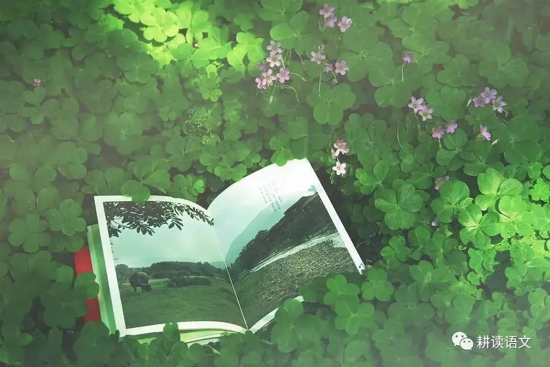 中考满分作文:春风十里不如你(范文5篇) 第4张