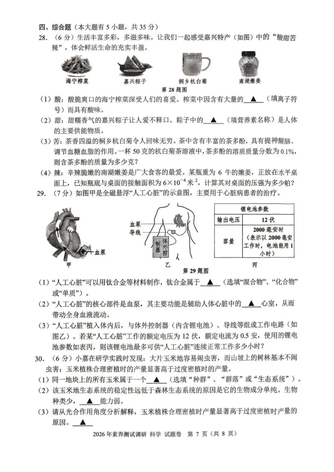 中考一模|2026年4月浙江省嘉兴市中考一模「全科」试题(统测)(含答案;听力录音) 第39张