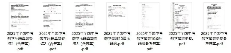 【精选资料】2025年全国中考数学压轴真题专练 第1张