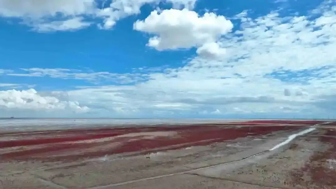 26山东真题:逆袭:从“跟跑”到“领跑”,中国新能源汽车自主创新、一骑绝尘,这对你未来工作有哪些启示? 第2张