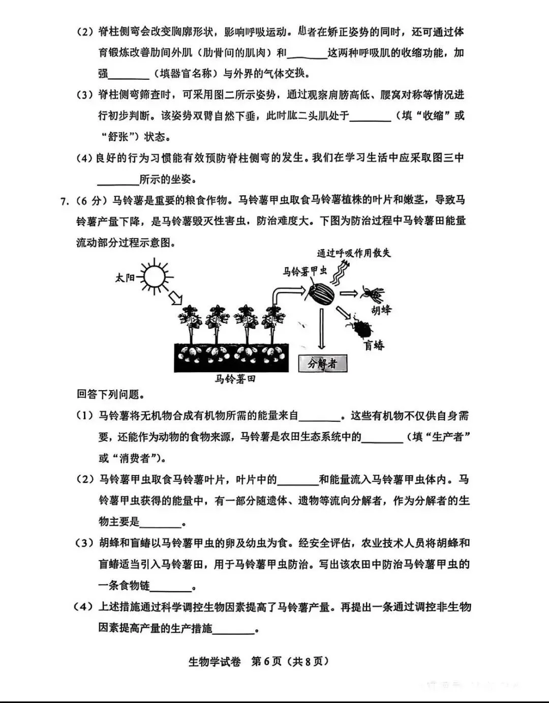 【中考真题】2025年河北省中考生物试题(八年级)含答案 第7张