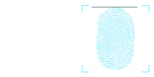 【中考真题】2025年河北省中考生物试题(八年级)含答案 第13张