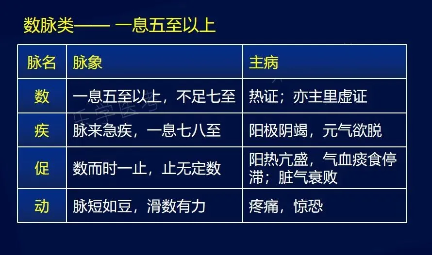 中医师承出师考试技能考点及往年真题(一)/脉诊、舌诊 第4张