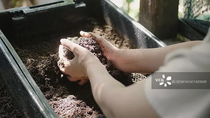 【深中】2025春季四大期中作文真题拆解 第9张
