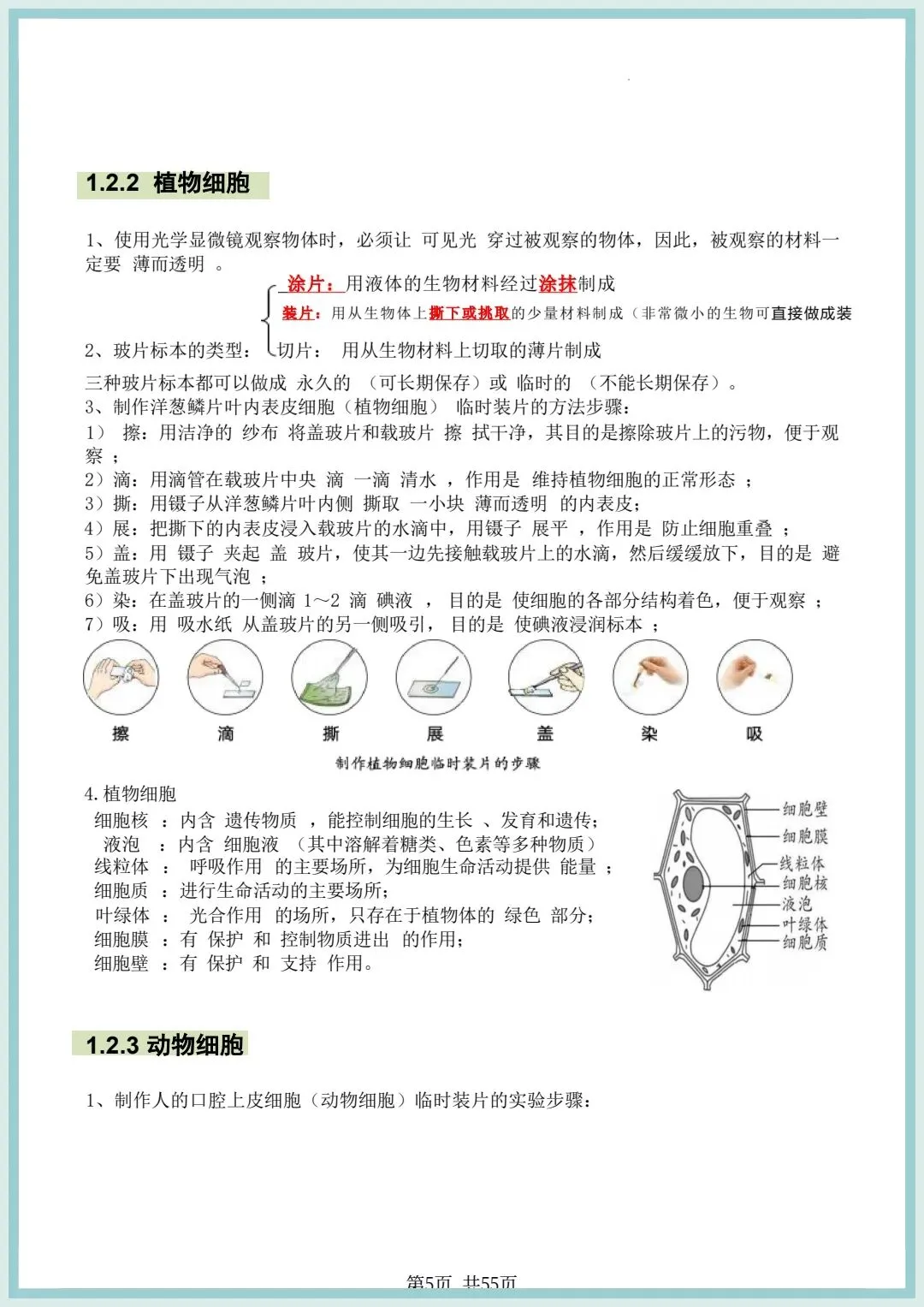 2026春中考初中生物会考知识点清单(共55页),电子版可打印! 第7张