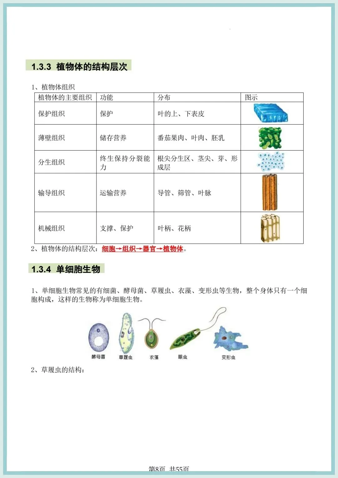 2026春中考初中生物会考知识点清单(共55页),电子版可打印! 第8张