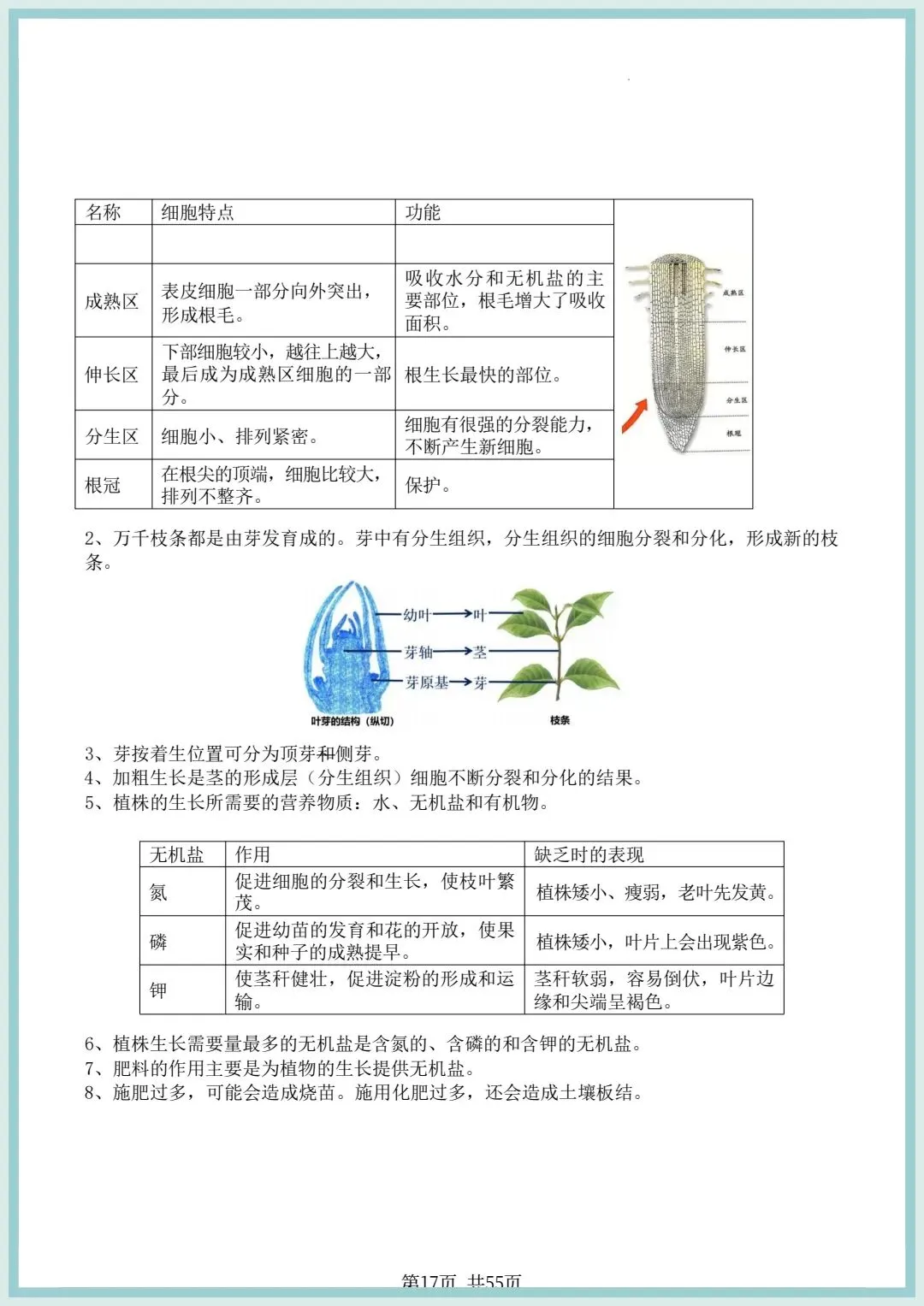 2026春中考初中生物会考知识点清单(共55页),电子版可打印! 第11张