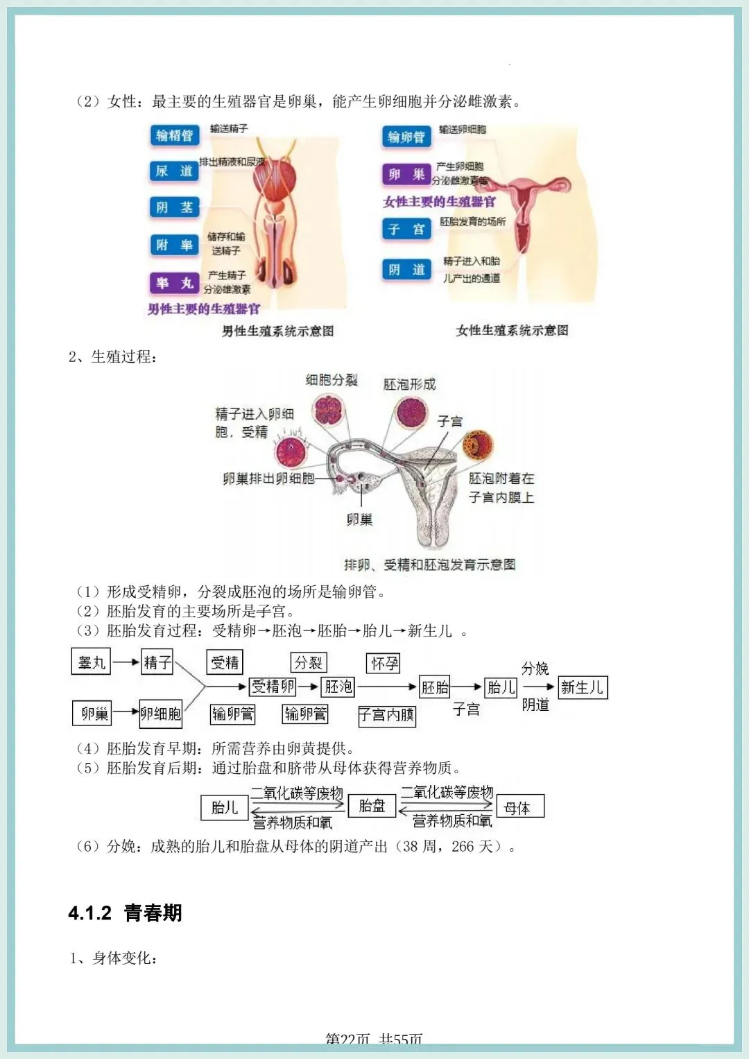 2026春中考初中生物会考知识点清单(共55页),电子版可打印! 第13张