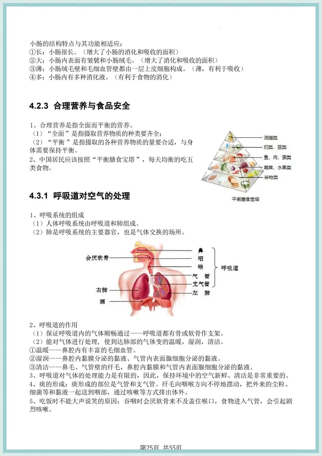 2026春中考初中生物会考知识点清单(共55页),电子版可打印! 第14张