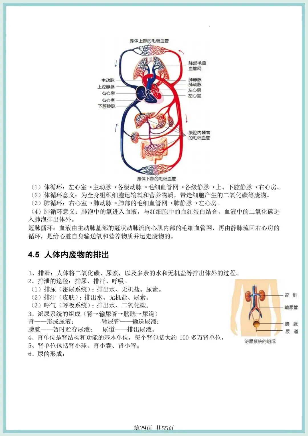 2026春中考初中生物会考知识点清单(共55页),电子版可打印! 第15张