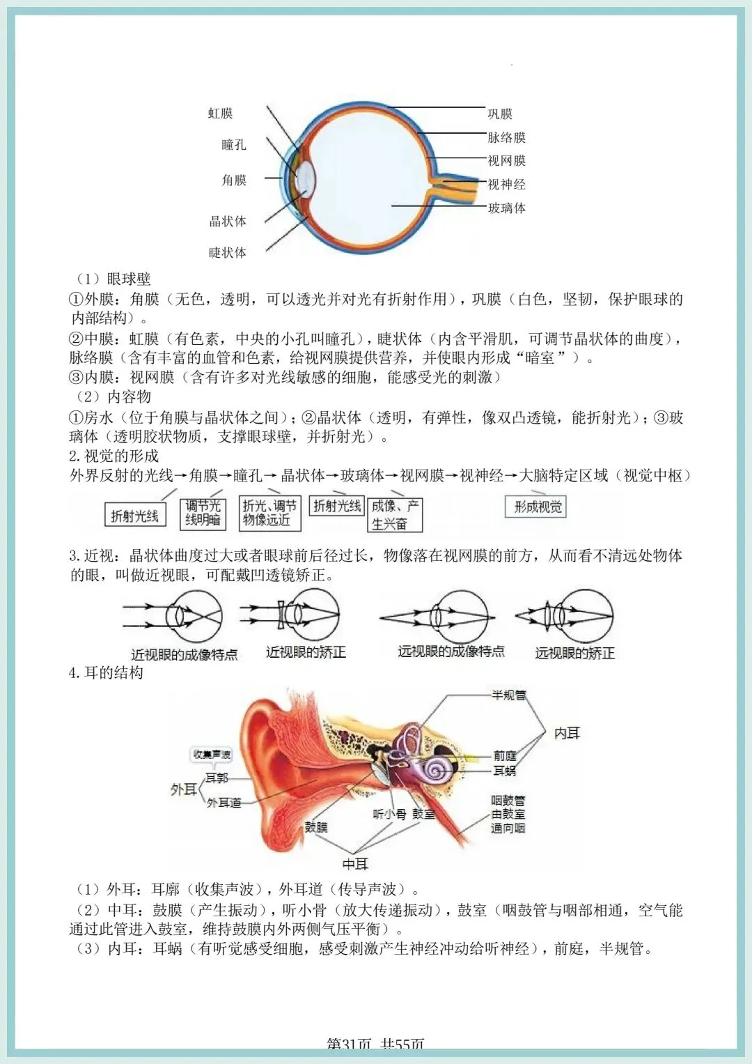 2026春中考初中生物会考知识点清单(共55页),电子版可打印! 第16张