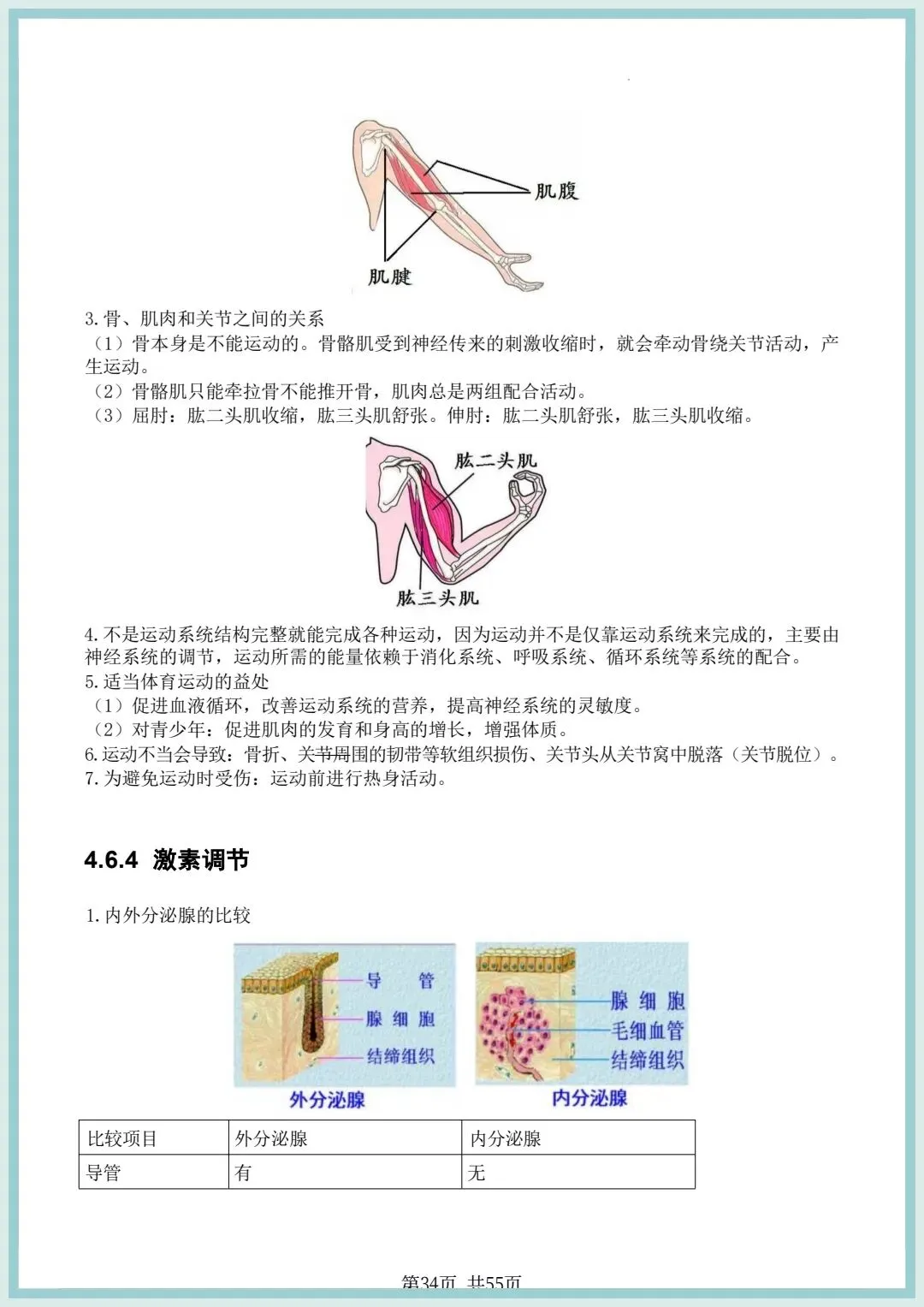 2026春中考初中生物会考知识点清单(共55页),电子版可打印! 第17张