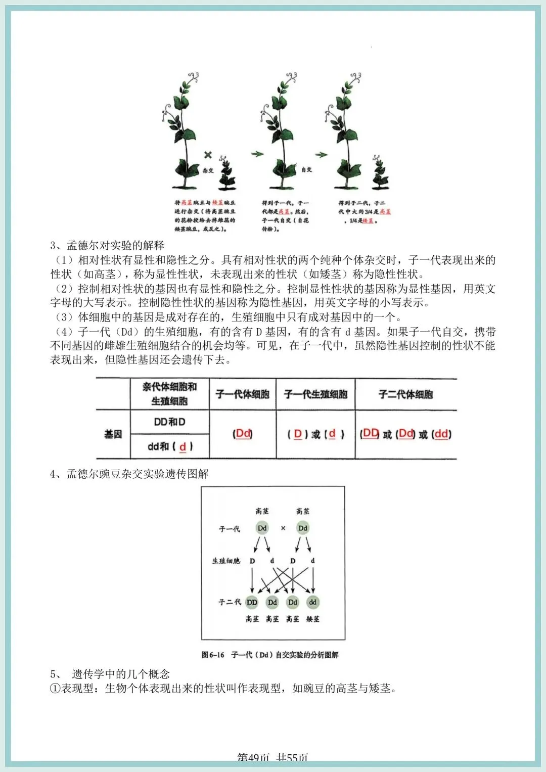 2026春中考初中生物会考知识点清单(共55页),电子版可打印! 第20张