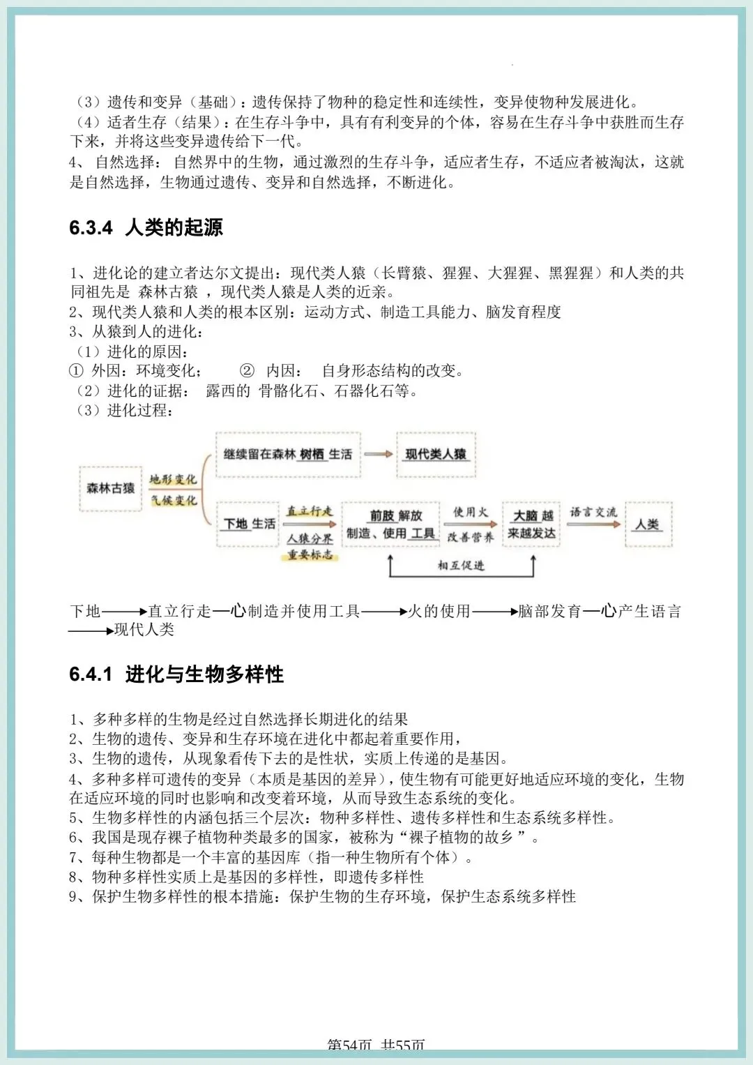 2026春中考初中生物会考知识点清单(共55页),电子版可打印! 第22张