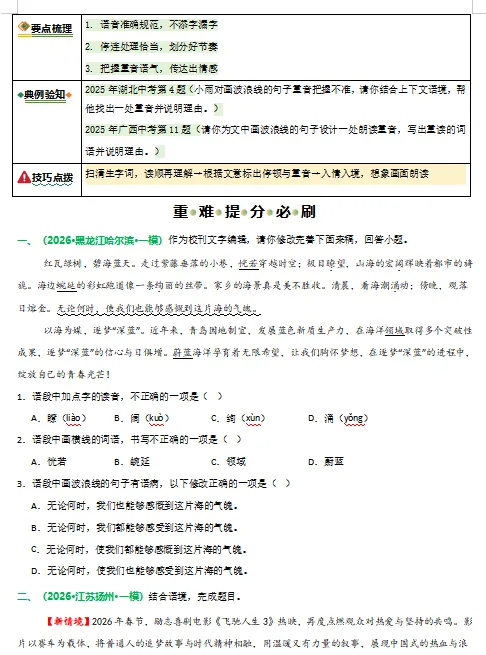 2026年中考语文二轮复习重难点专练,打印一份给孩子,考试轻松突破120分! 第4张