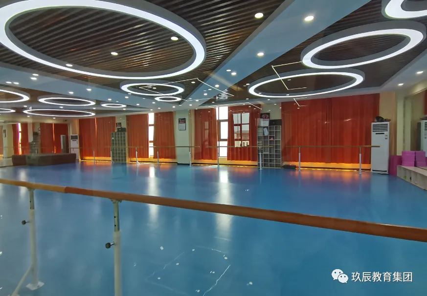 初中生择校必看 | 中考成绩不理想如何升学?逆风翻盘的机会来了! 第19张