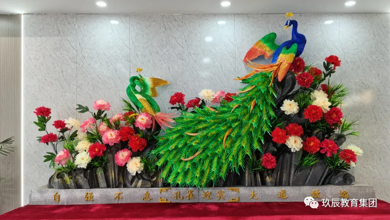 初中生择校必看 | 中考成绩不理想如何升学?逆风翻盘的机会来了! 第28张