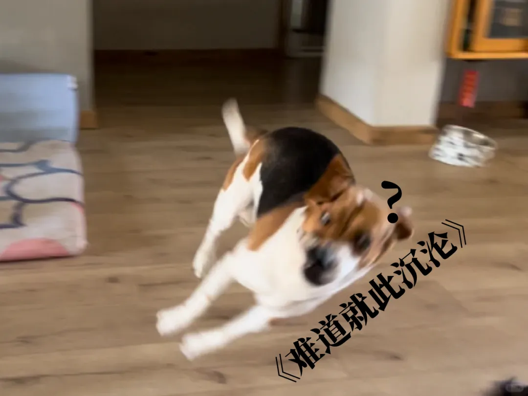 计算机二级考前必看:冲刺指南+真题! 第11张