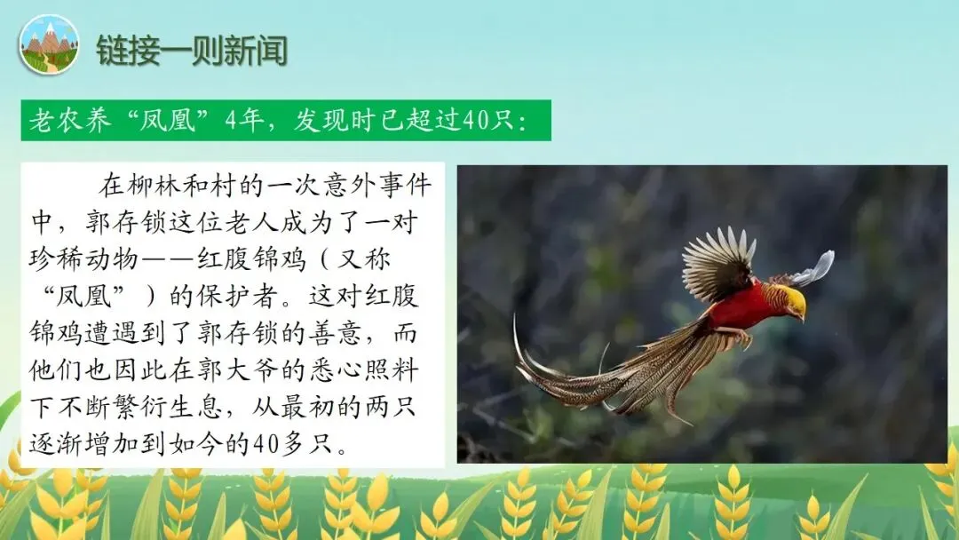 (2025高考真题导入)观种树,知养人——高二选必下《种树郭橐驼传》 第4张