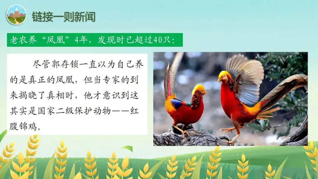 (2025高考真题导入)观种树,知养人——高二选必下《种树郭橐驼传》 第5张